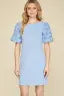 ROSE SLEEVE MINI DRESS