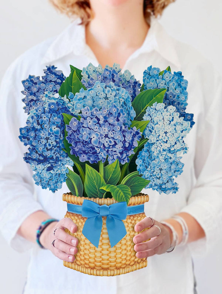 Nantucket Hydrangeas