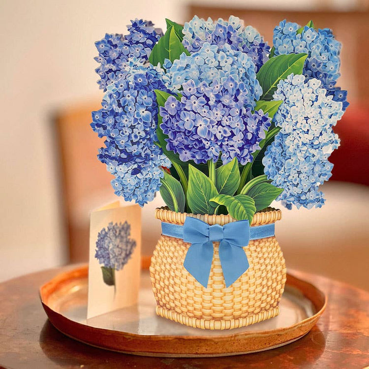 Nantucket Hydrangeas