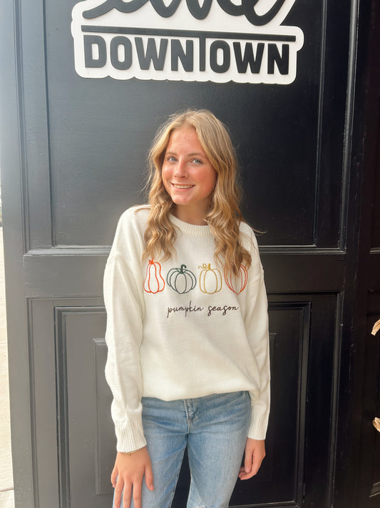 Pumpkin Season Embroidered Sweater