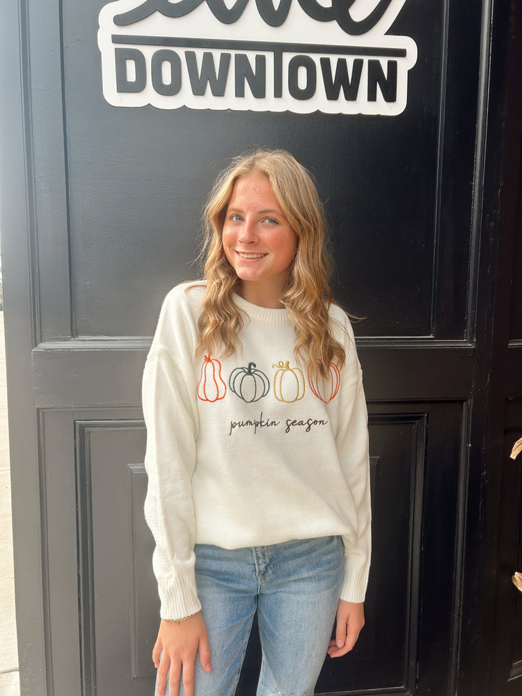 Pumpkin Season Embroidered Sweater