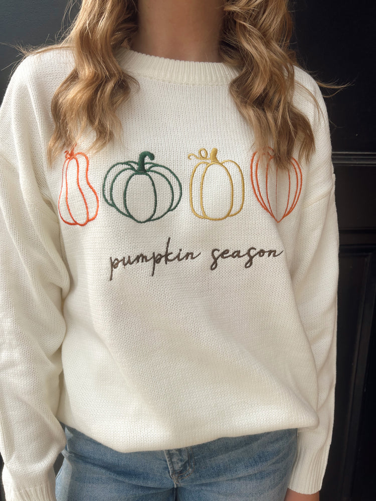 Pumpkin Season Embroidered Sweater