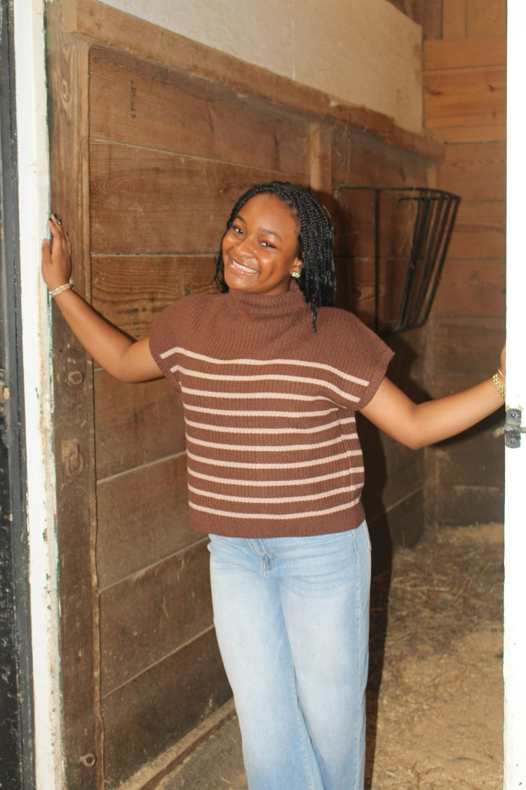 Stripe Mock Neck Short Sleeve Knit Sweater
